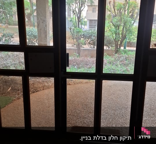 דלת זכוכית ומחיצת זכוכית בכניסה לבניין